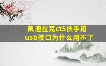 凯迪拉克ct5扶手箱 usb接口为什么用不了